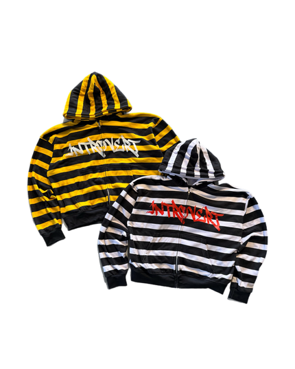 Introvert Striped Zip Ups